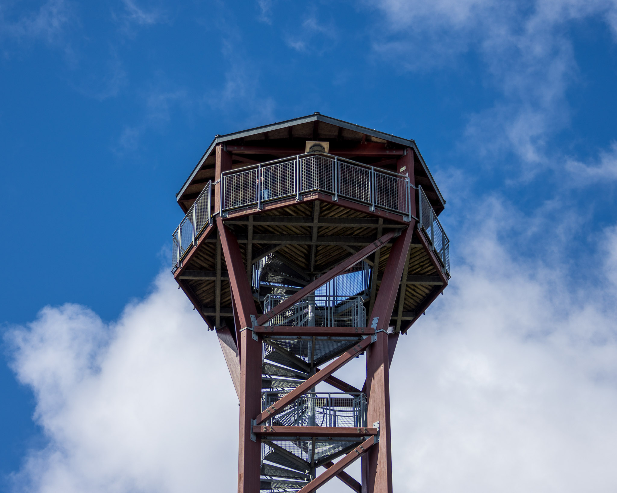 20220409144602 R5D 1365